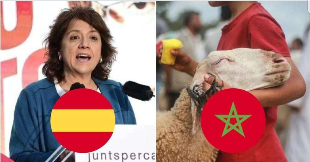 عمدة مدينة فيك بإقليم كتلونيا تتمنى فوز المغرب على إسبانيا وتعد المسلمين بالسماح لهم بـ”ذبح الأضحية” في الساحة الكبرى خلال العيد المقبل