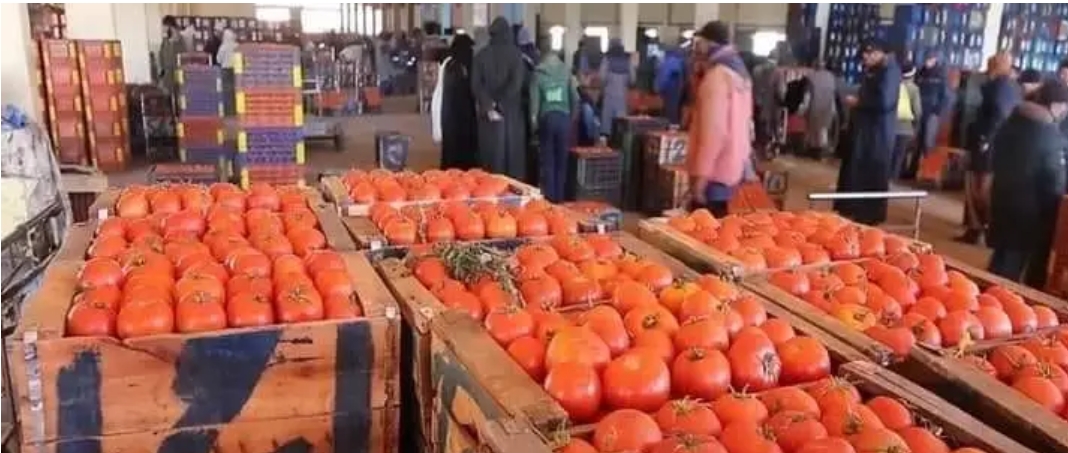 سعر الطماطم اليوم الجمعة 9 رمضان المبارك بقاعة الفلاح بسوق الجملة للخضر والفواكه بانزكان طماطم شتوكة يبدأ سعرها من 60 درهم الى 100 درهم للصندوق