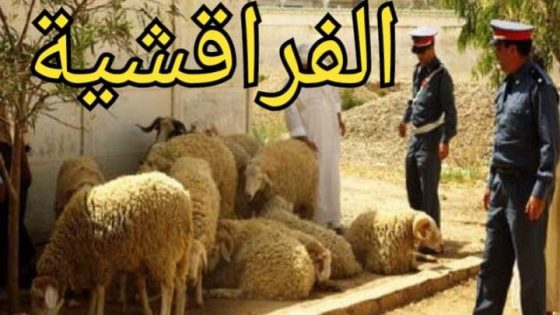 اشتوكة_آيت_باها