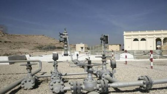 نوفاك: “أوبك +” وسيلة فعالة لمنع محاولات الغرب استخدام الطاقة للضغط السياسي