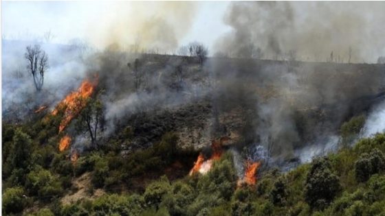 حرائق الغابات تودي بحياة 15 شخصا في الجزائر