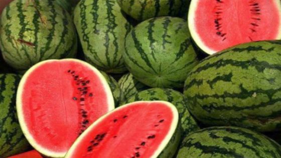 صادراته زادت بـ 44 ألف طن.. مطالب بإيقاف زراعة “الدلاح” في ظل أزمة الماء