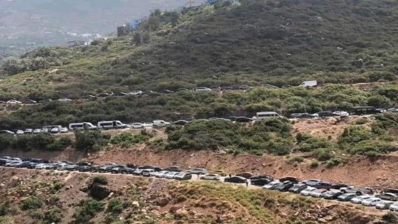 السفر وثقافة القطيع!