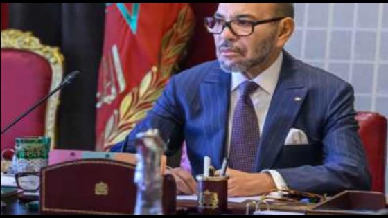 تعزيز ولوج بلدان الساحل الى المحيط الأطلسي…مبادرة ملكية من اجل إفريقيا مزدهرة
