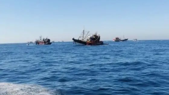 مجلس النواب ، و في اطار الاصلاح التدريجي…..المصادقة بالإجماع على مشروع قانون يتعلق بتنظيم الصيد البحري