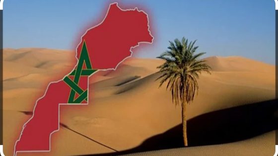 في تطور بالغ الدلالة، الرئيس الفرنسي يعلن رسميا لجلالة الملك أنه “يعتبر أن حاضر ومستقبل الصحراء الغربية يندرجان في إطار السيادة المغربية” (الديوان الملكي