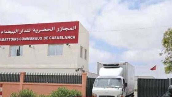 كبد مستورد منخفض الجودة يباع في أسواق الدار البيضاء بأسعار المنتج المحلي