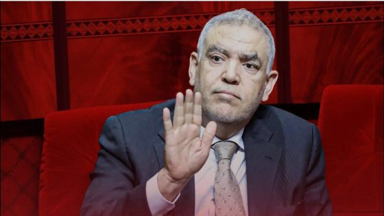 “تأخر التنسيق بين الداخلية و’مصالح الماء’ يهدد استدامة المشاريع الفلاحية”