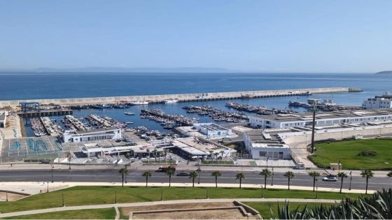 هل ينجح المغرب في تطوير صناعة السفن؟