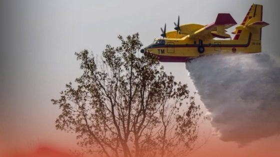 حريق مهول يلتهم غابة الدردارة… وجهود مكثفة للسيطرة على النيران بشفشاون