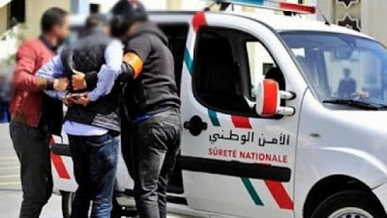 تفكيك شبكة نصب رقمية.. توقيف شابين احتالا على ضحاياهم عبر بيع وهمي للعملات الرقمية