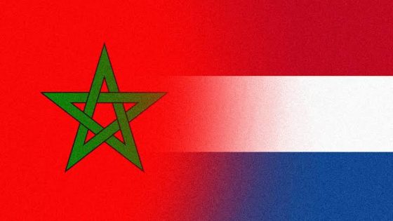 المغرب وهولندا يتفقان على تعزيز التعاون في مجال النقل البحري