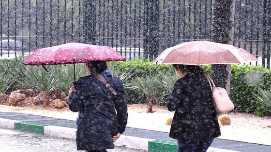 نشرة إنذارية: تساقطات ثلجية وأمطار قوية وهبات رياح بعدد من مناطق المملكة