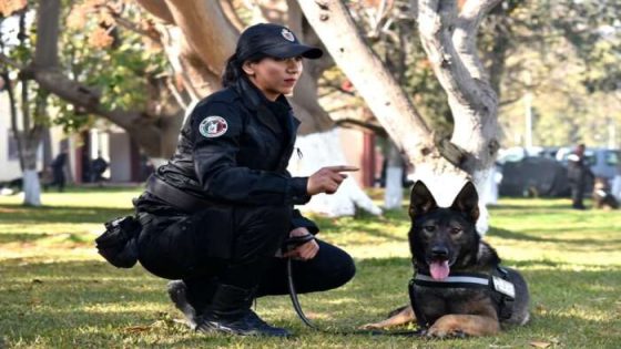 تنظم المديرية العامة للأمن الوطني دورة للتكوين التخصصي في مجال التدريب على الكلاب المدربة للشرطة، 