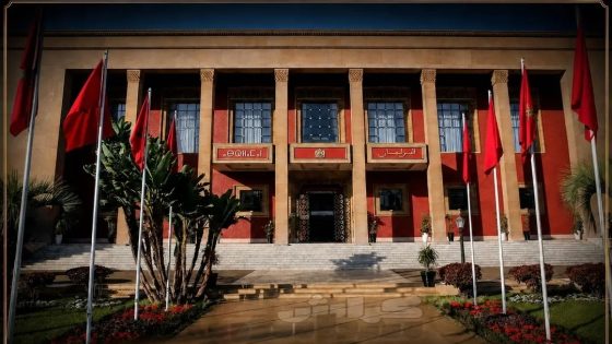 قبل انتخابات شتنبر… 52% من المغاربة يتمسكون بالديمقراطية والمغرب يعاكس التراجع الإفريقي.التفاصيل..👇👇
