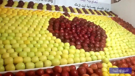 موسم واعد للتفاح.. الإنتاج الوطني يلامس مليون طن